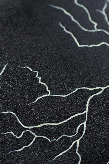 WHISPERS OF THUNDER - Image 3