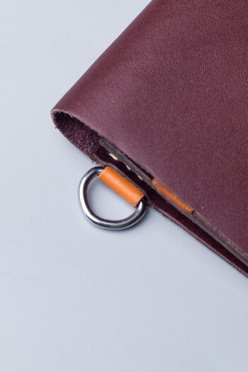 LION'S GLORY - Image 11