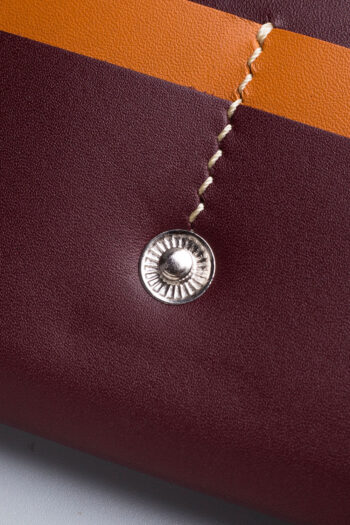 MAPLE TIMELAPSE - Image 9