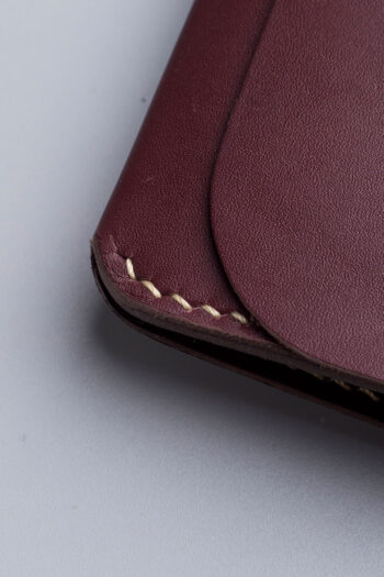 MAPLE TIMELAPSE - Image 10