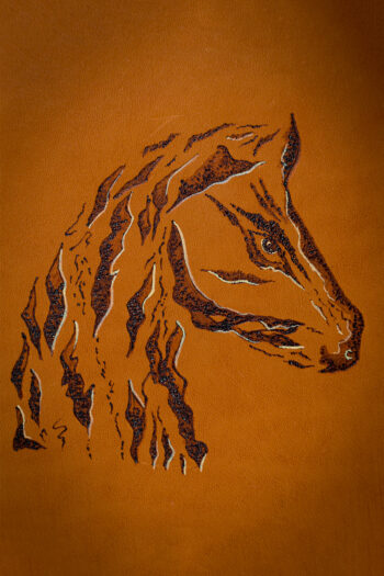 STALLION SCARS - Image 4
