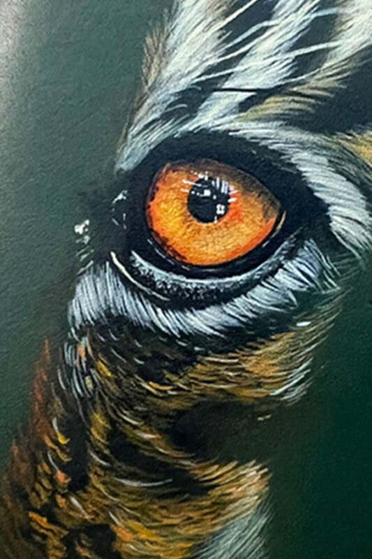 WILD EYES - MUSHI