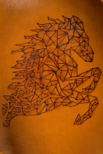 STALLION DOMINATION - Image 4