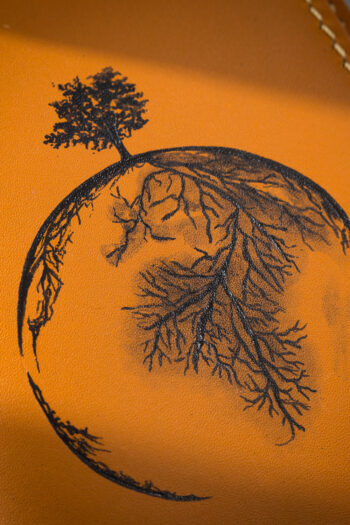 Creative Wallet Art by MUSHI in Pakistan featuring Tree on Earth with widespread roots beneath the Earth surface.