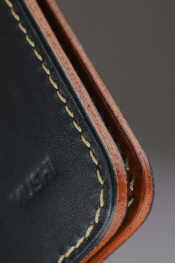 LION'S STARE - Image 5