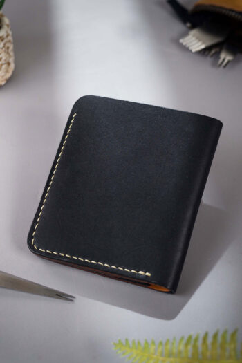 LION'S STARE - Image 2